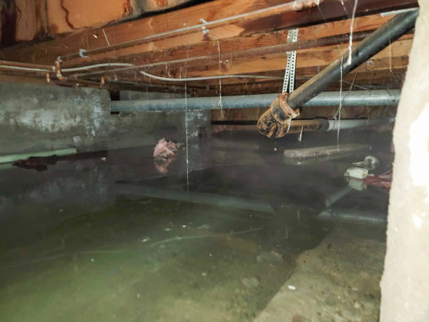 Best Residential water damage restoration  in Warrenton, OR
