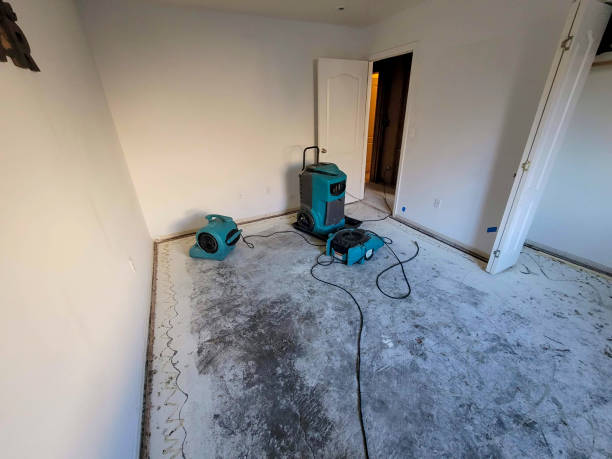 Best Mold removal after water damage  in Warrenton, OR