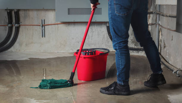 Best Flooded house restoration  in Warrenton, OR
