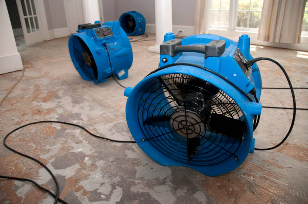 Best Carpet water damage restoration  in Warrenton, OR