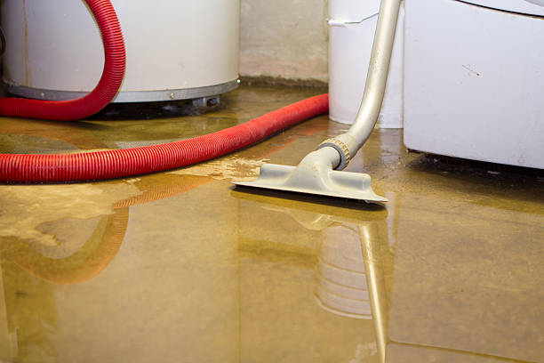 Best Local water damage restoration  in Warrenton, OR