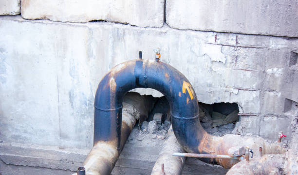 Best Basement water damage restoration  in Warrenton, OR