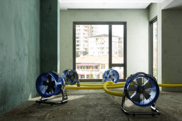 Carpet water damage restoration in Warrenton, OR